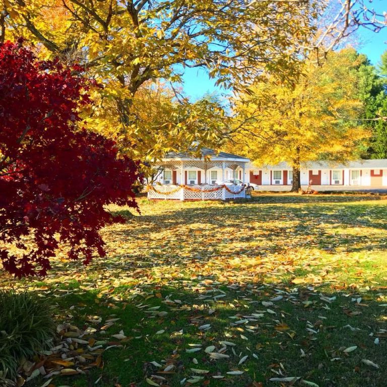 fall gazebo photo